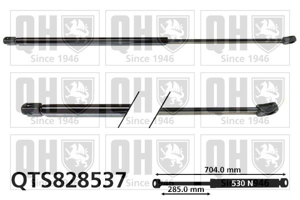 Amortiguador de porton para Ford C-Max Grand CB7